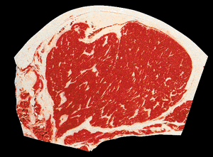 USDA Prime Beef Shield